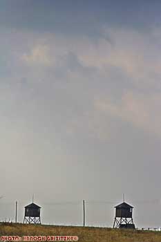 IMG_ (10763)